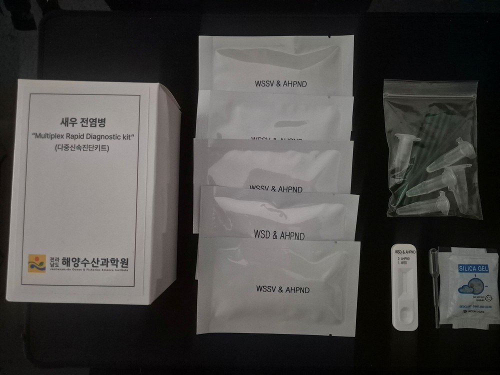 전남해수원, 전국 최초 새우 전염병 복합 진단기술 개발