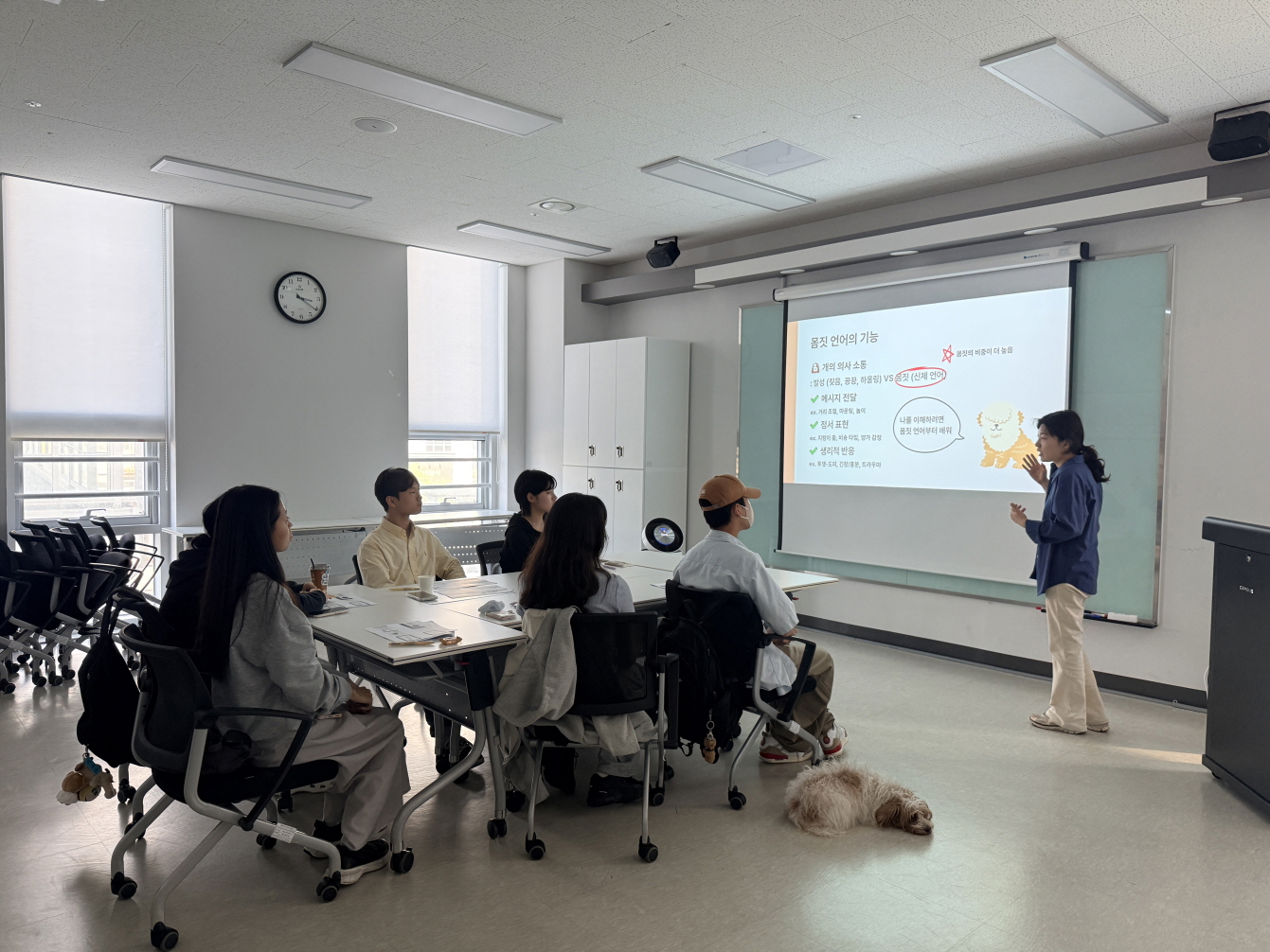 의왕시청소년재단 학교밖청소년지원센터 2026년 반려동물행동교정사 자격증 취득과정 운영