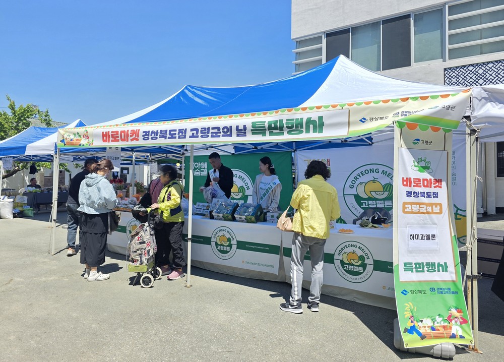 고령 하미과멜론, 대도시 소비자 입맛 공략