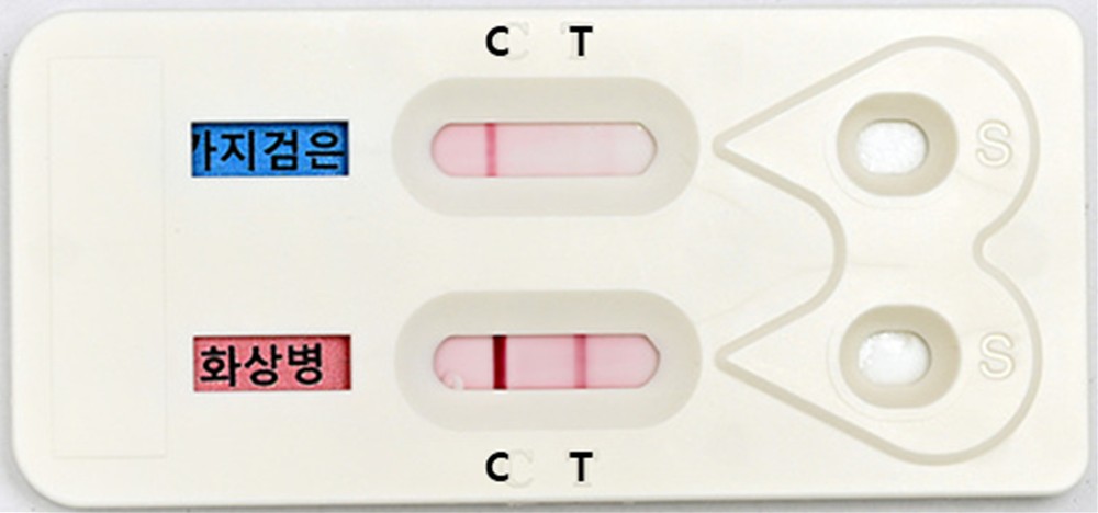 충북농업기술원,  과수화상병·가지검은마름병 동시 진단키트, 현장 공식 적용