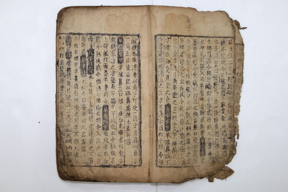 예천박물관 소장 「사시찬요」 국보 승격 파란불!