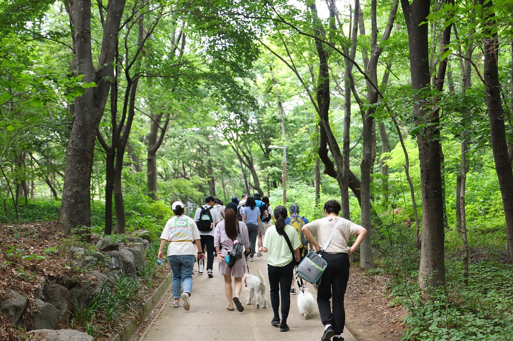 '반려견 등록은 필수' 서대문구 동물등록 자진신고 기간 운영