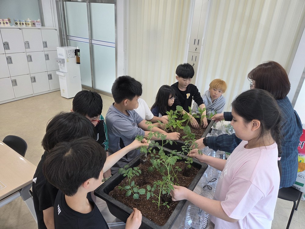 보령시청소년방과후아카데미, 보령시어린이·사회복지급식관리지원센터와 ‘꼬마농부의 채소 기르기’ 운영