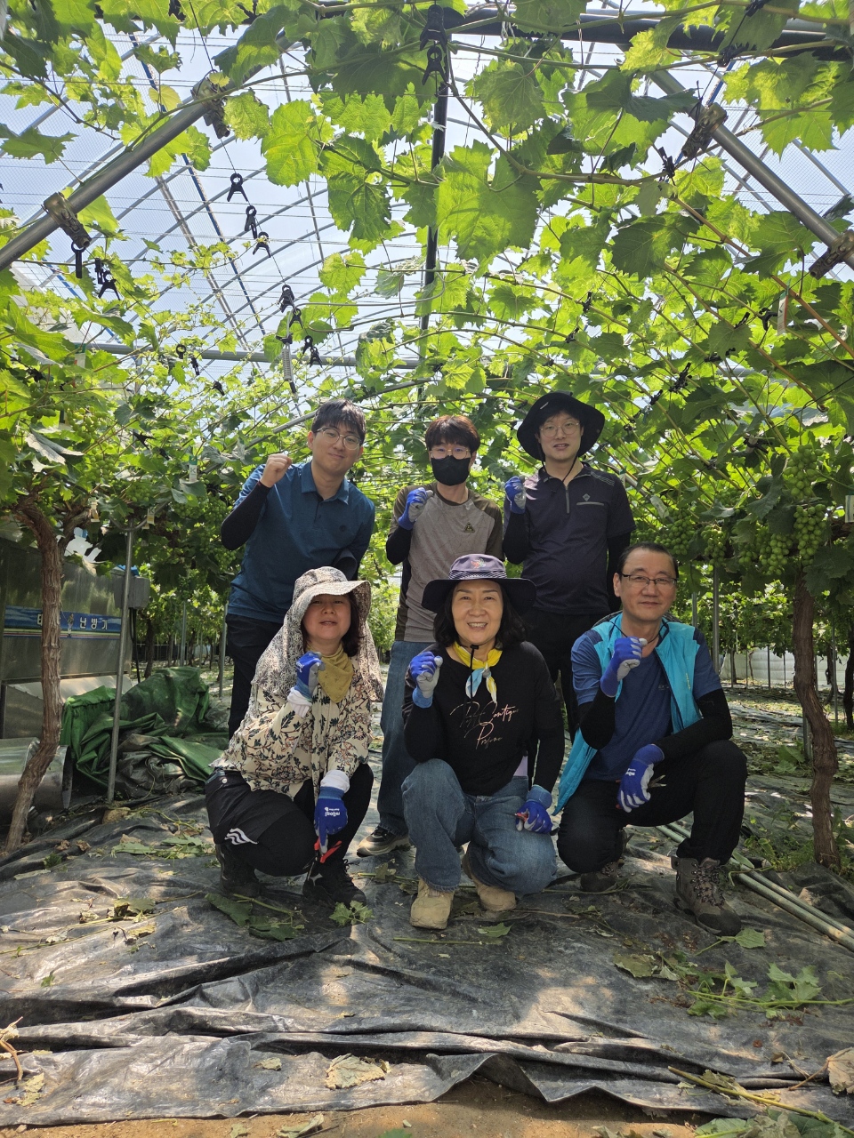 초록빛 포도밭에 심은 진심, 찾아가는 농촌지원