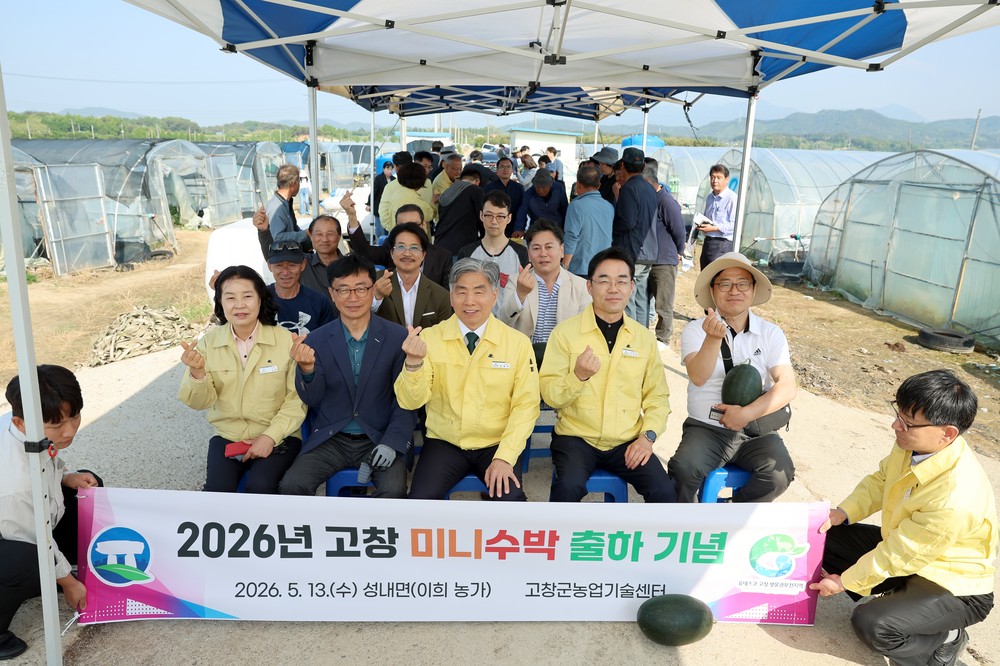 고창군, 미니수박 출하 시작..“전국 최대규모 미니수박 산지”