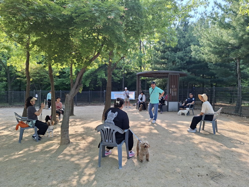 인천 서구, ‘2026 반려동물 문화교실’ 성황리 개최 산책 교육 등 전문 프로그램 운영