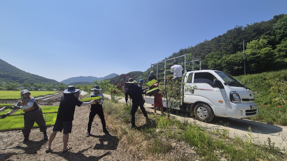 녹지공원과·산림조합, 대가면 농가서 합동 일손돕기 펼쳐