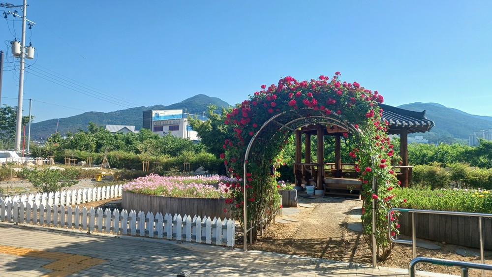 청도군, 추억쉼터 정원 재정비 실시