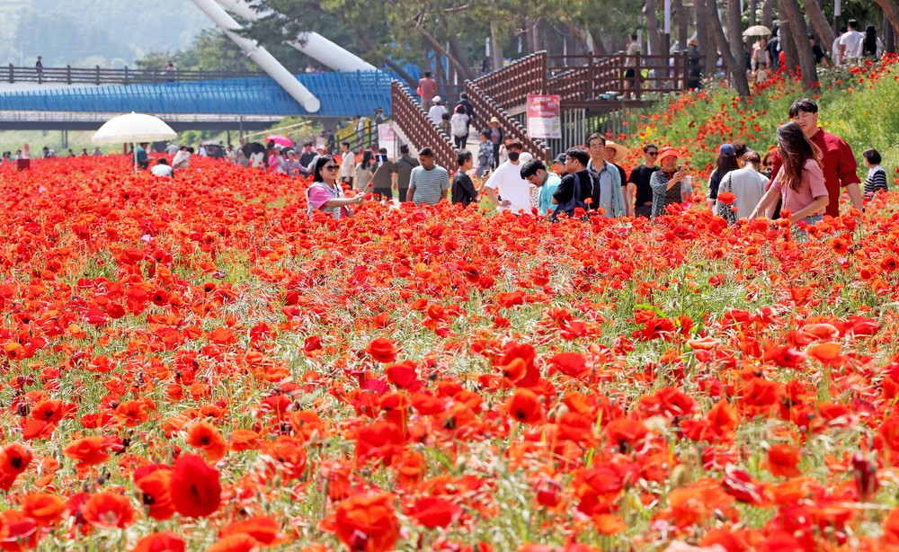 “눈·입·몸이 즐겁다” 2026 괴산 빨간맛 페스티벌, 오감 만족 축제로 ‘화려한 유혹’