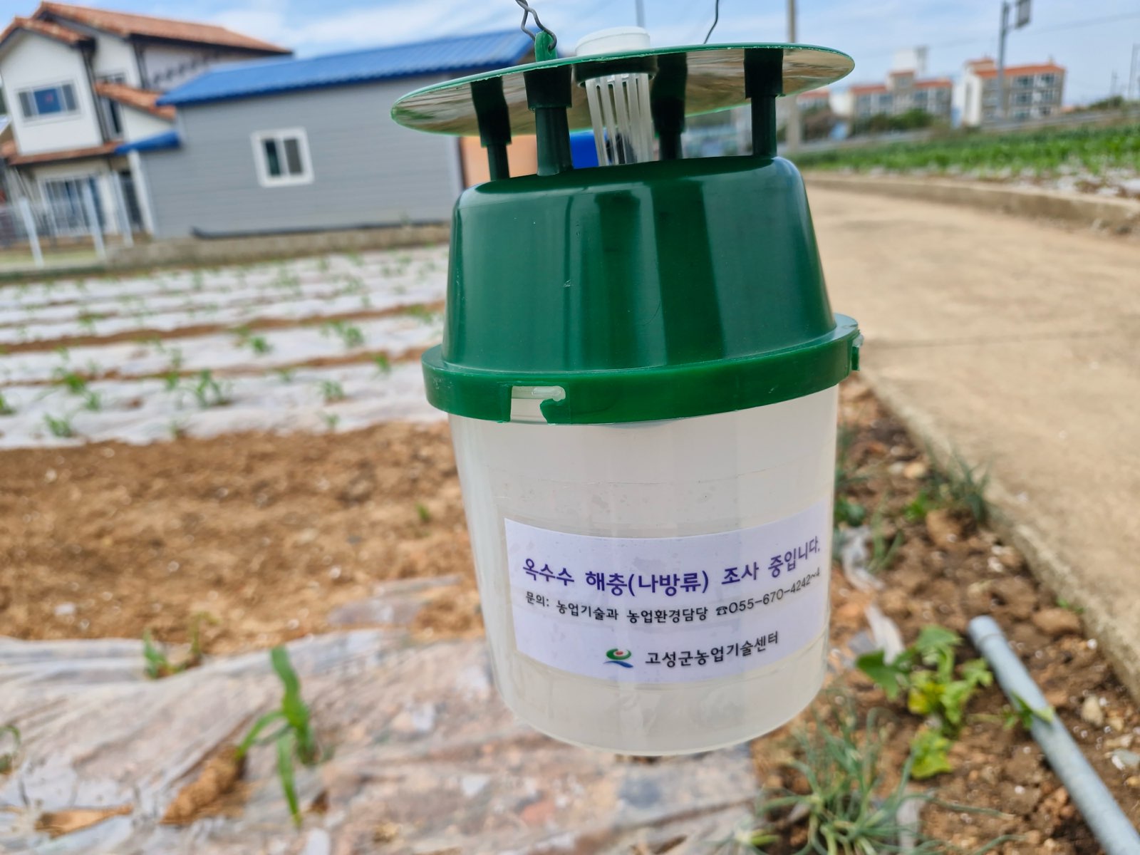 고성군, 열대거세미나방 선제 대응 강화