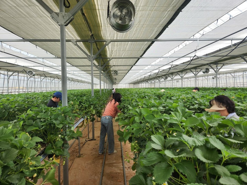 순천시, 한 명의 손길이 절실한 농촌 현장에 힘 ‘보탠다’