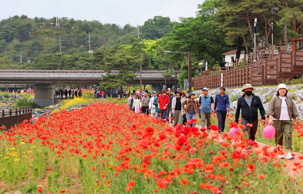2026 괴산빨간맛페스티벌 폐막…공연·먹거리·꽃길 모두 통했다