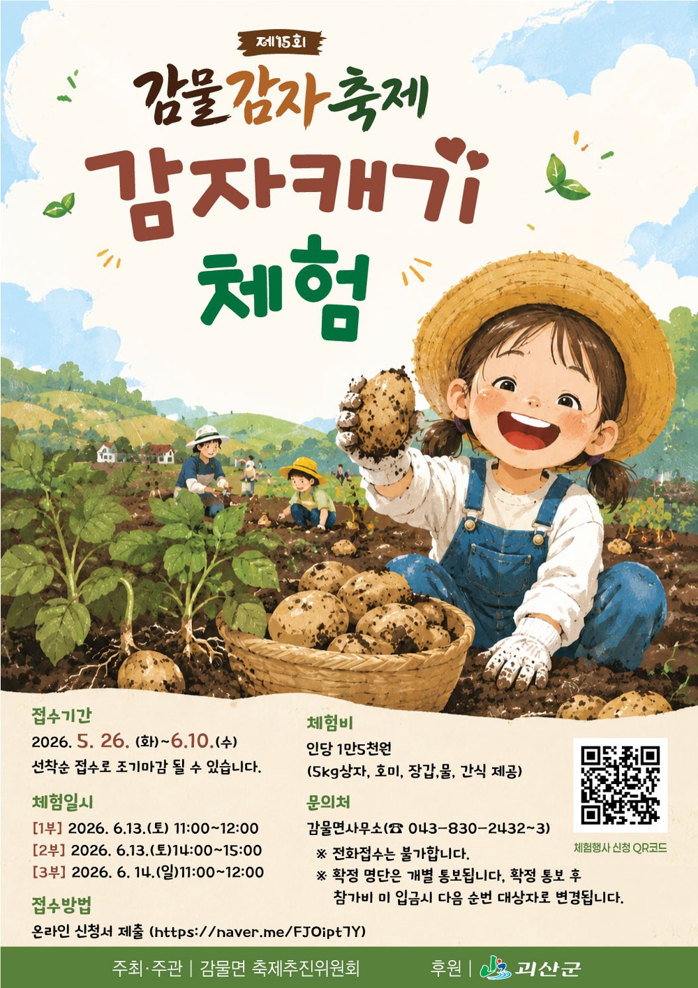 제15회 감물감자축제 ‘감자캐기 체험행사’ 사전접수 시작