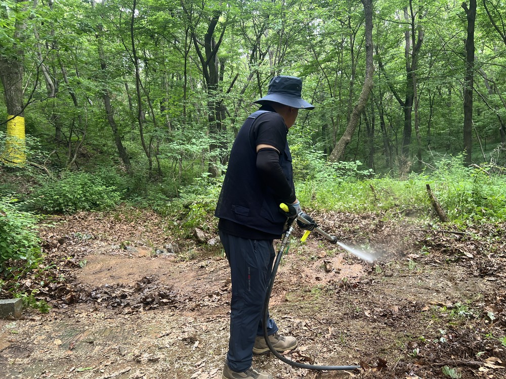인천 서구, 러브버그 선제적 대응 및 집중 방제기간 운영