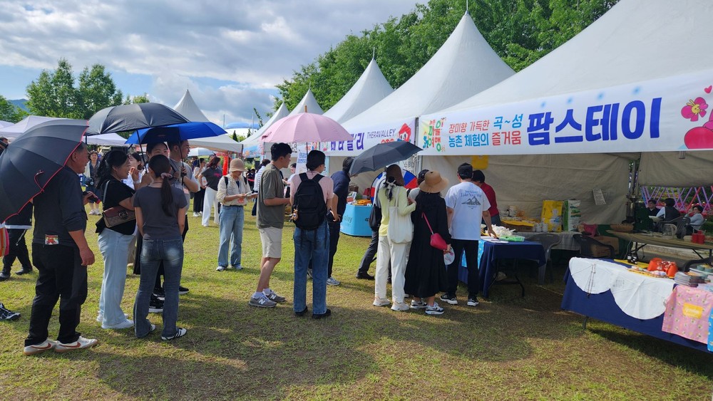 곡성군, 전남 팜스테이 홍보관 운영…장미축제와 함께 농촌 여행 홍보