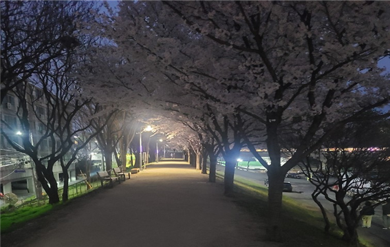 대구 동구, 화랑교~해맞이다리 안전 조명 설치