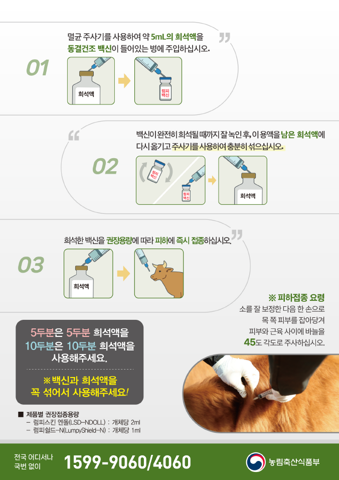 횡성군, 소 럼피스킨병 발생 차단 총력