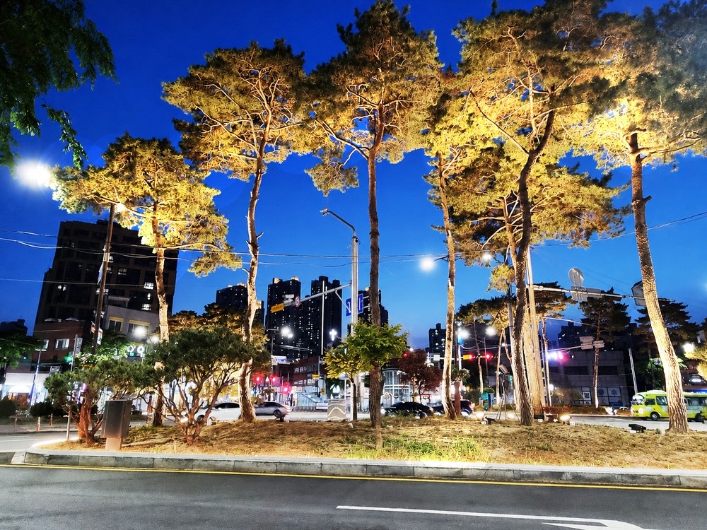 인천 동구, 송림오거리 교통섬 야간경관 개선 완료