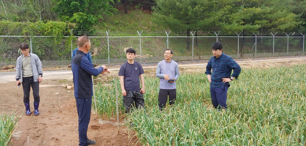 단양군, 우량 단양마늘 생산 기반 다진다