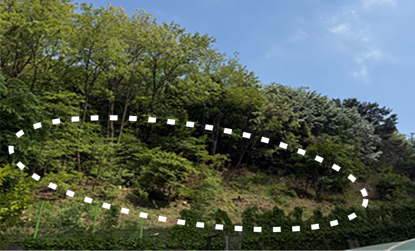 동작구, 서달산 일대 산림환경 개선 완료… 구민 안전 최우선