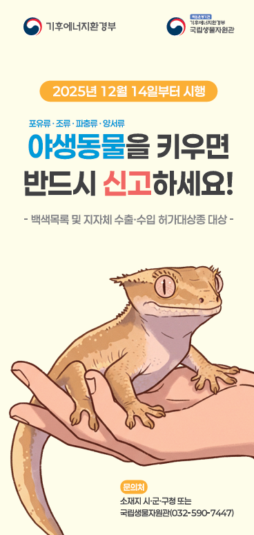 “과태료 최대 100만 원”… 백색목록 외 야생동물 13일까지 보관 신고