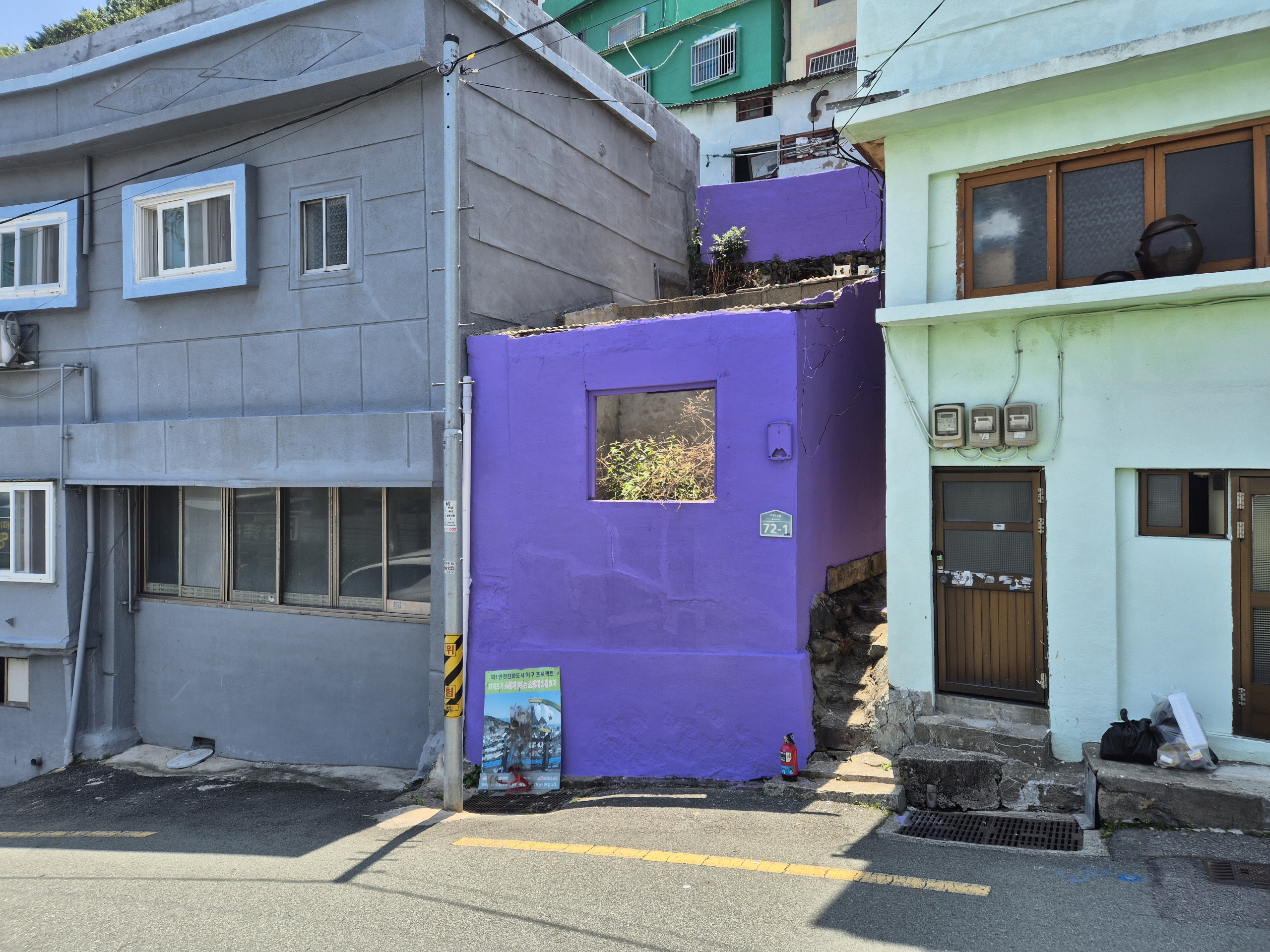 서구, 「보랏빛 아미 함께」 프로젝트 참여자 모집