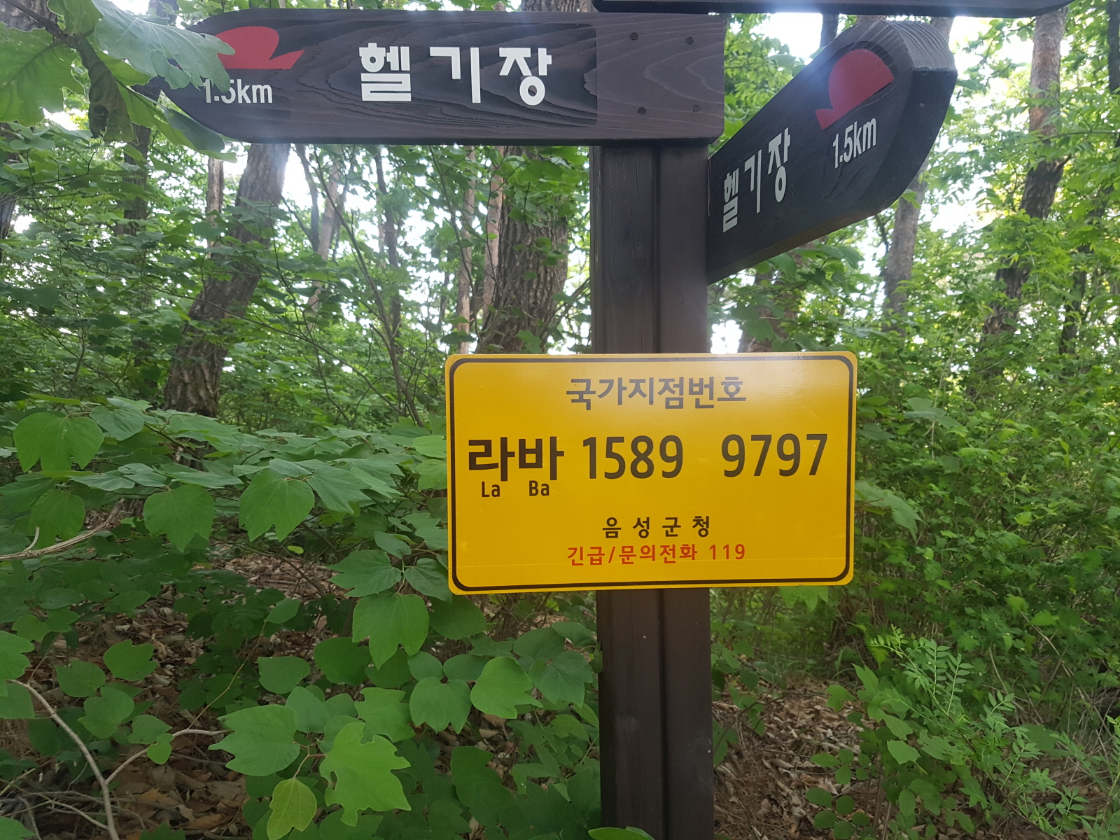 음성군, 국가지점번호판 일제조사 추진