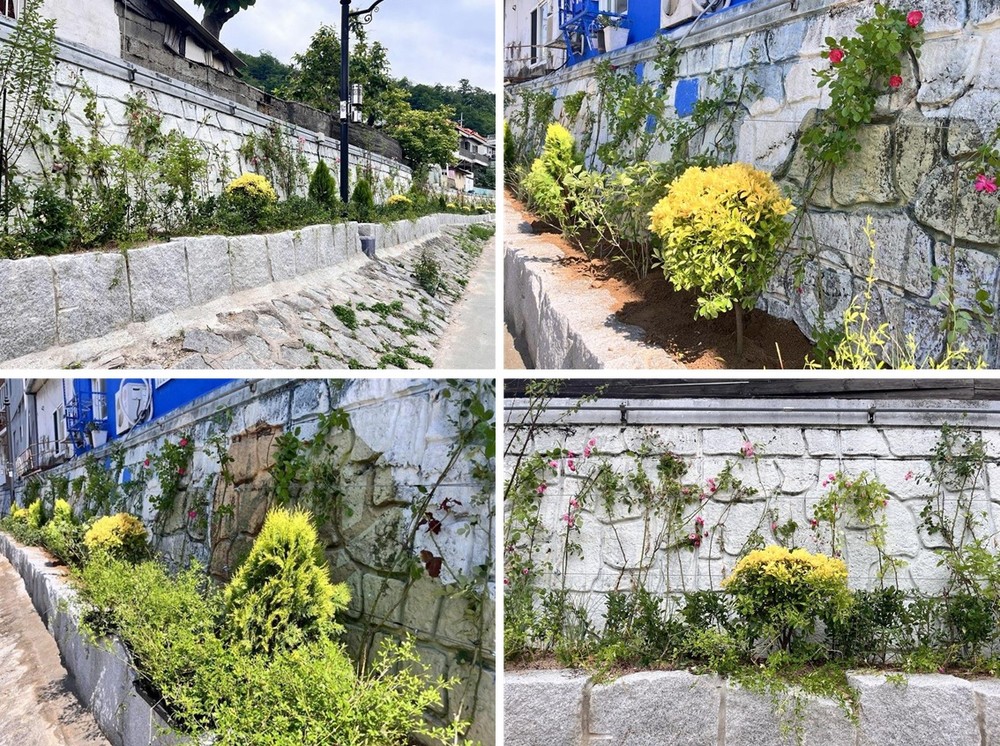 서대문구 홍제천 포방교 일대 축대 벽에 '꽃담길' 조성