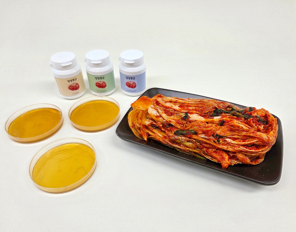 “맛과 건강 다 잡았다” 충북농기원, 유산균 3종 특허출원