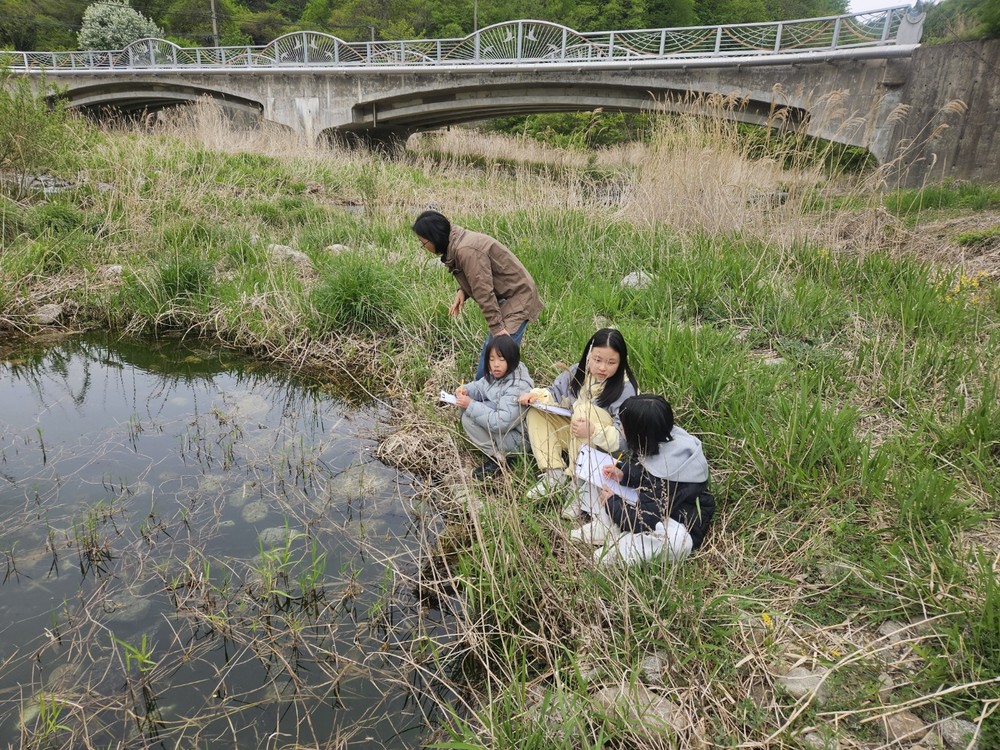 인제군 산골생태유학, ‘학교 활력·인구 유입·소득 창출’ 일석삼조 효과 톡톡