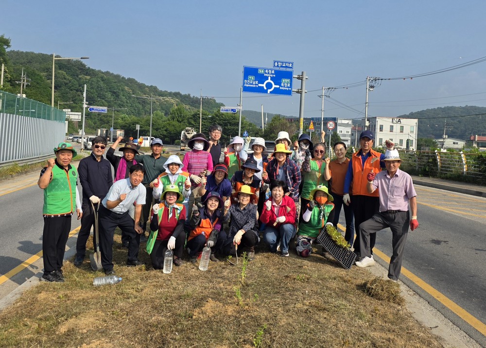 남양주시 진건읍, 자율방재단·용정1리 부녀회와 꽃묘 식재… 쾌적한 도로환경 조성