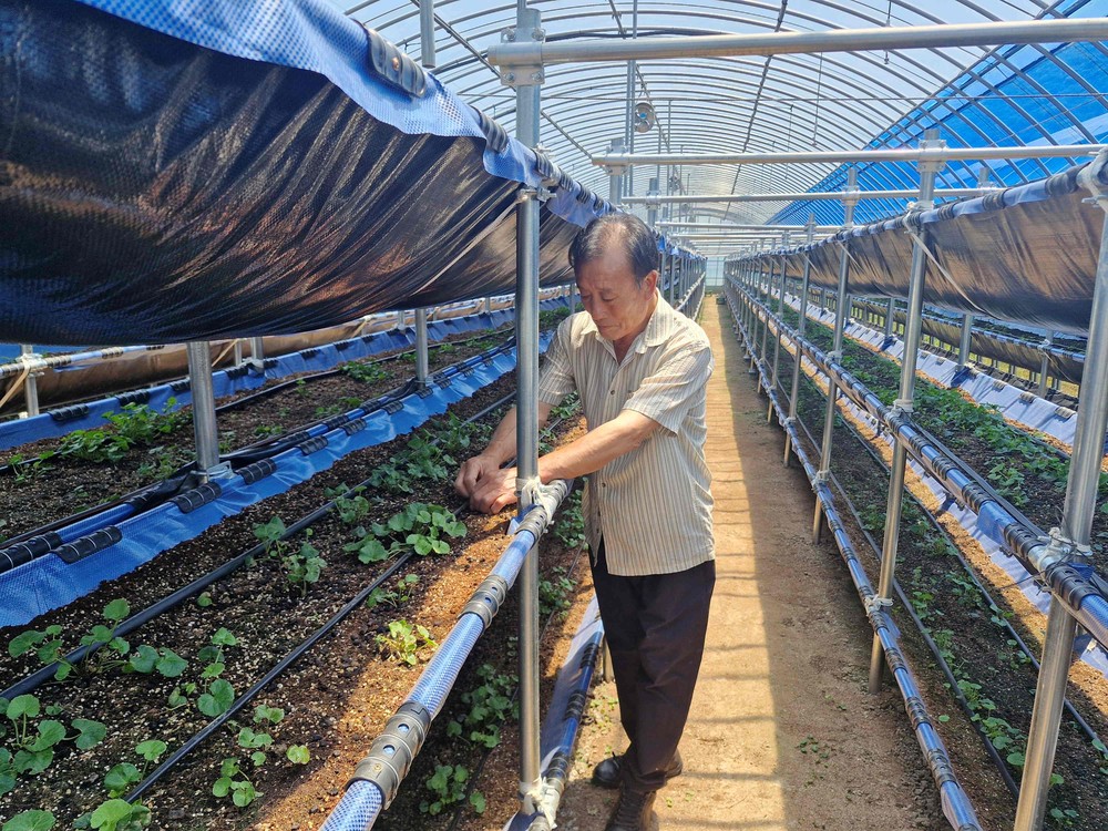 전남도, 글로벌 기술인재 본격 육성