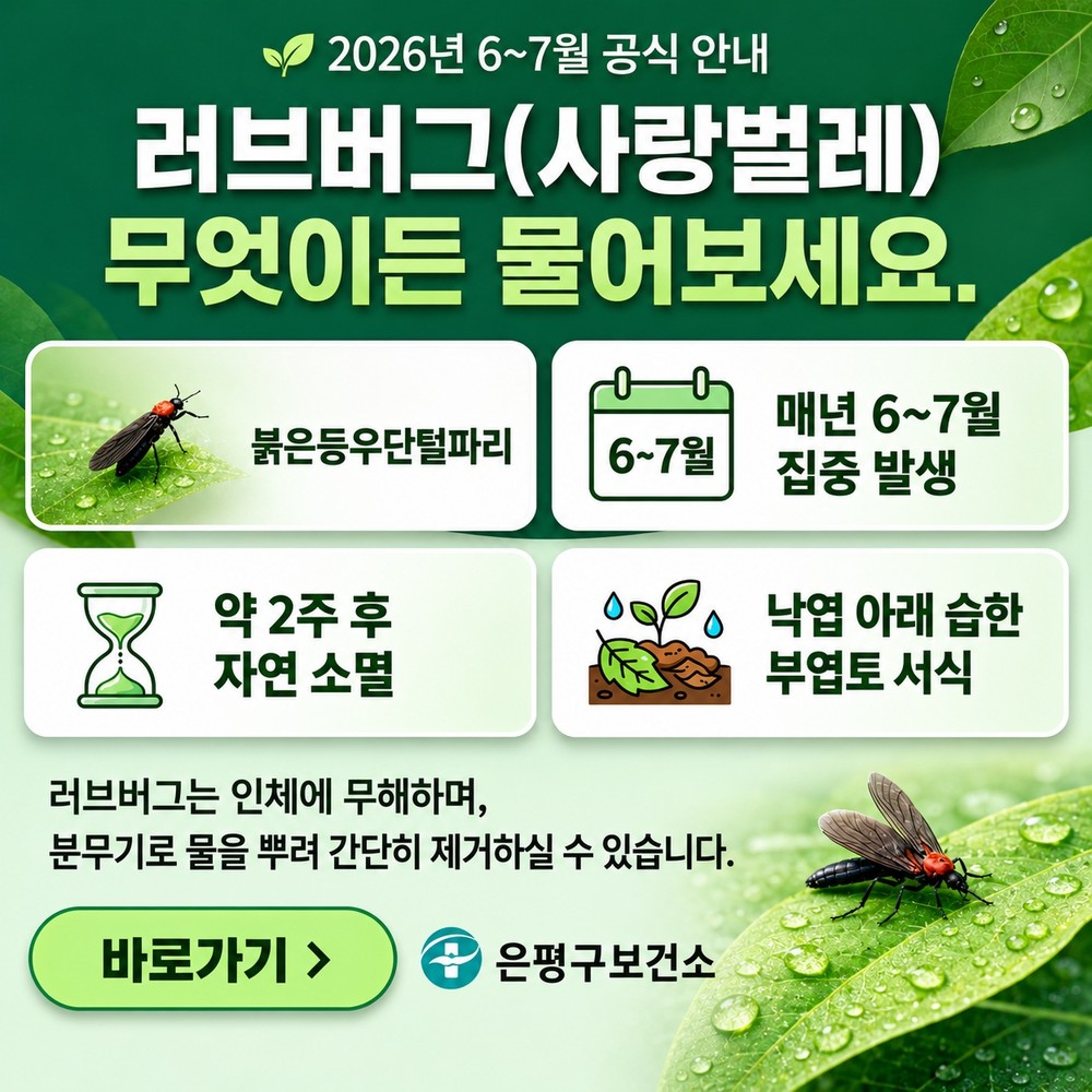 은평구, 러브버그 대응 체계 강화… 주민 불편 최소화 나선다