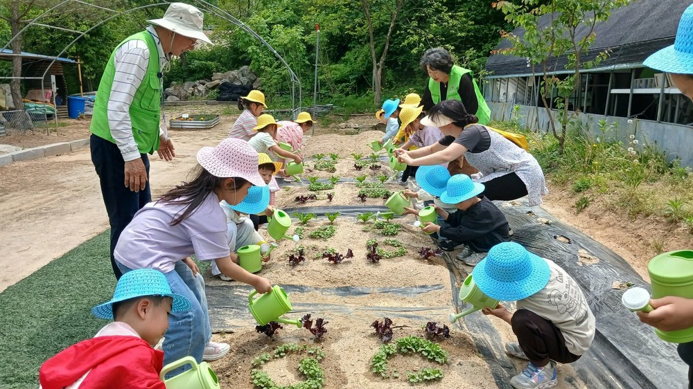 계룡시, 유아 대상 도시농업 텃밭생태 프로그램 운영