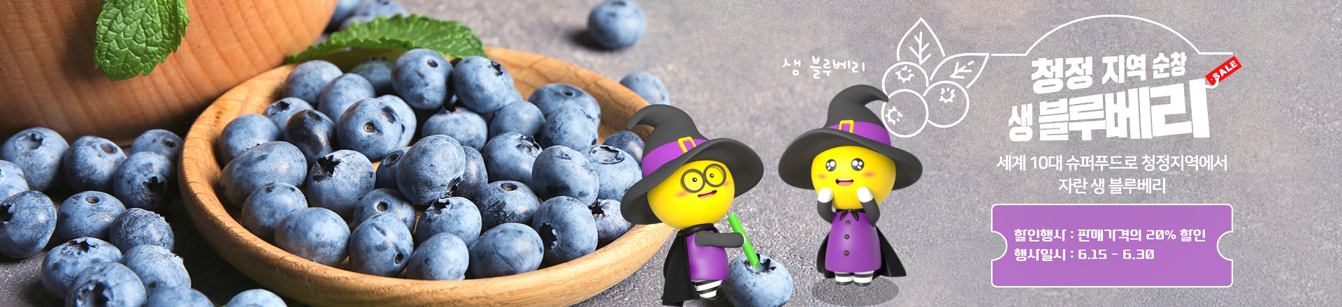 순창군,‘행복순창몰’블루베리 20% 특별 할인행사 개최