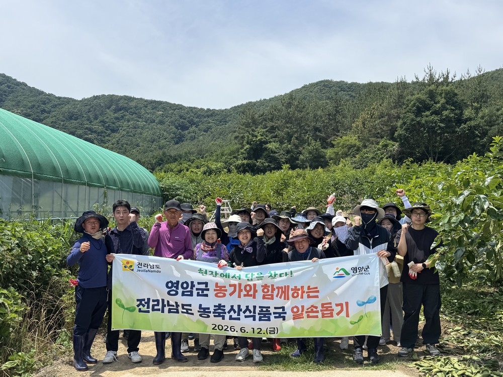 전남도 농축산식품국 직원들, 영암 감 농가 일손돕기