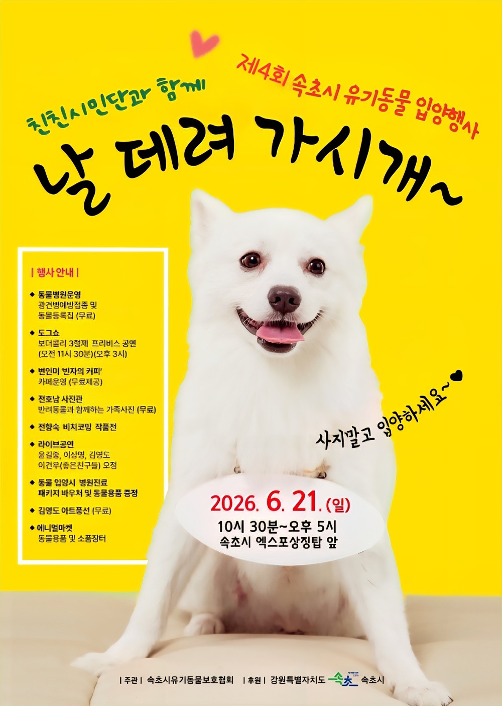 속초시, 제4회 유기동물 입양행사 개최