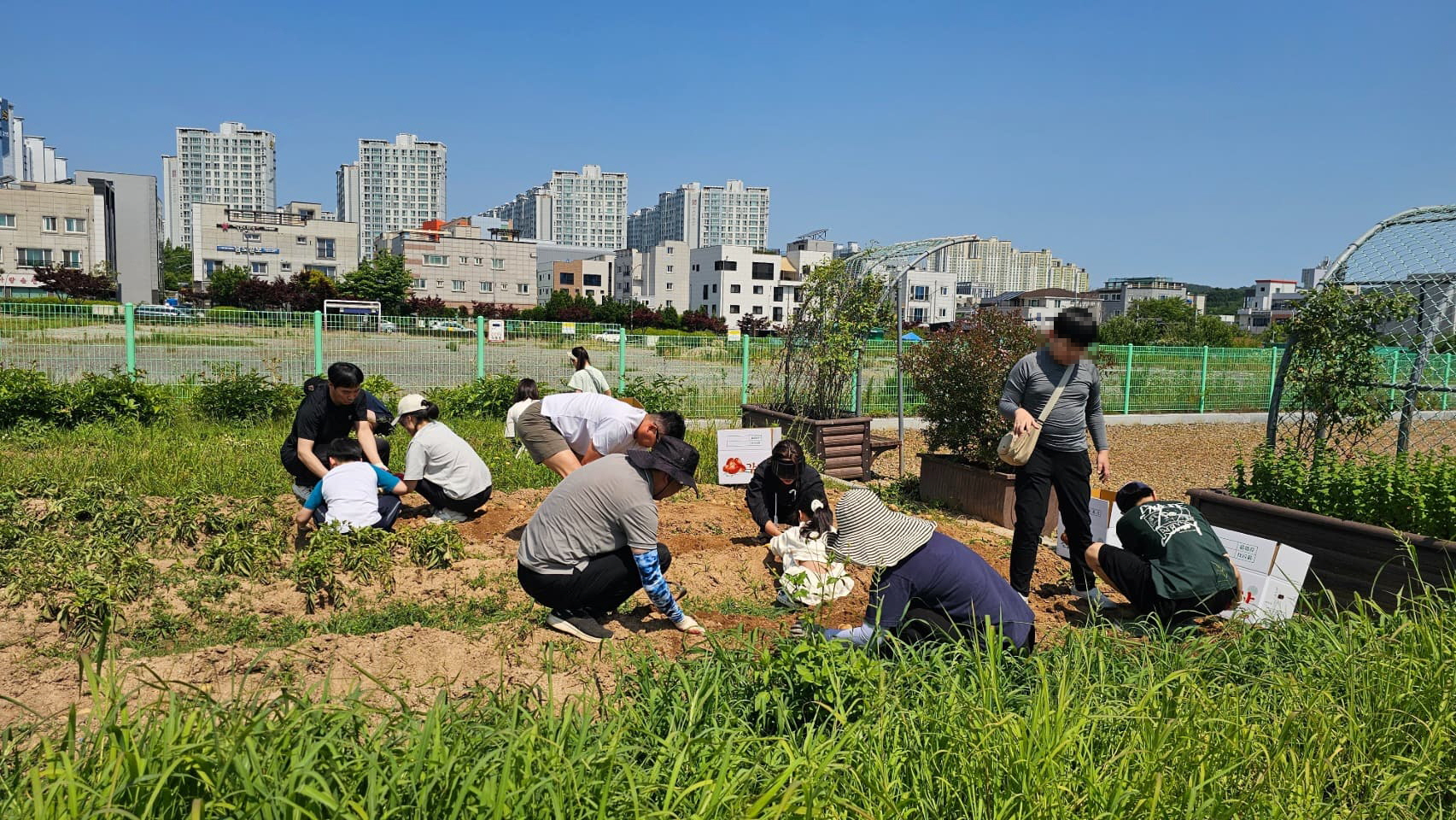 순천시, 생활 속 농업문화 확산으로 도시농업 활력 높인다