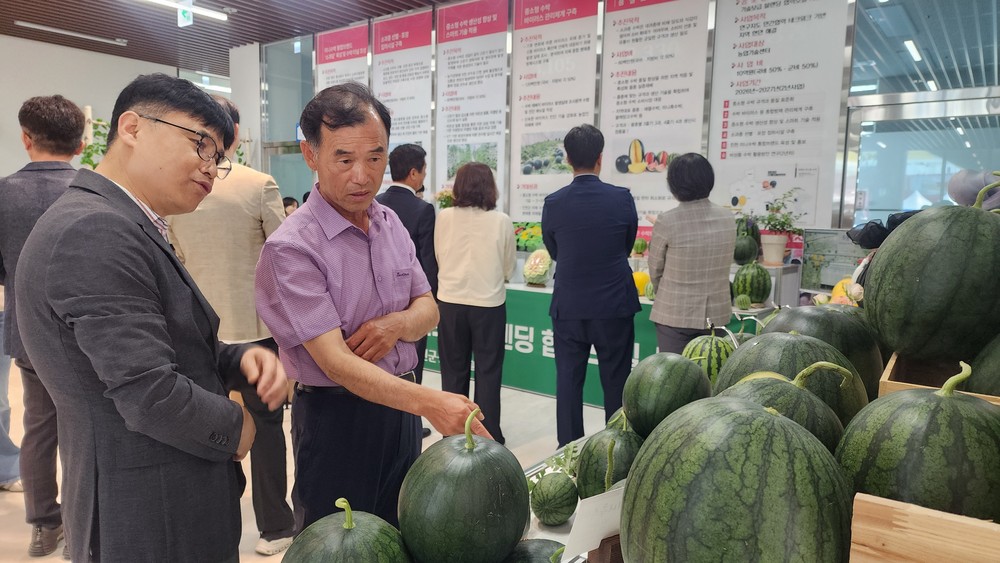 진천군, 중소형 수박 브랜드 ‘소과담’ 전시회 성황리에 마무리