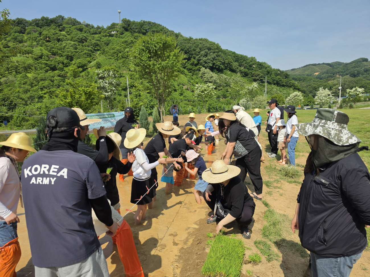 공주시, 마을과 학교가 함께하는 ‘논캉스’…모내기 체험 실시