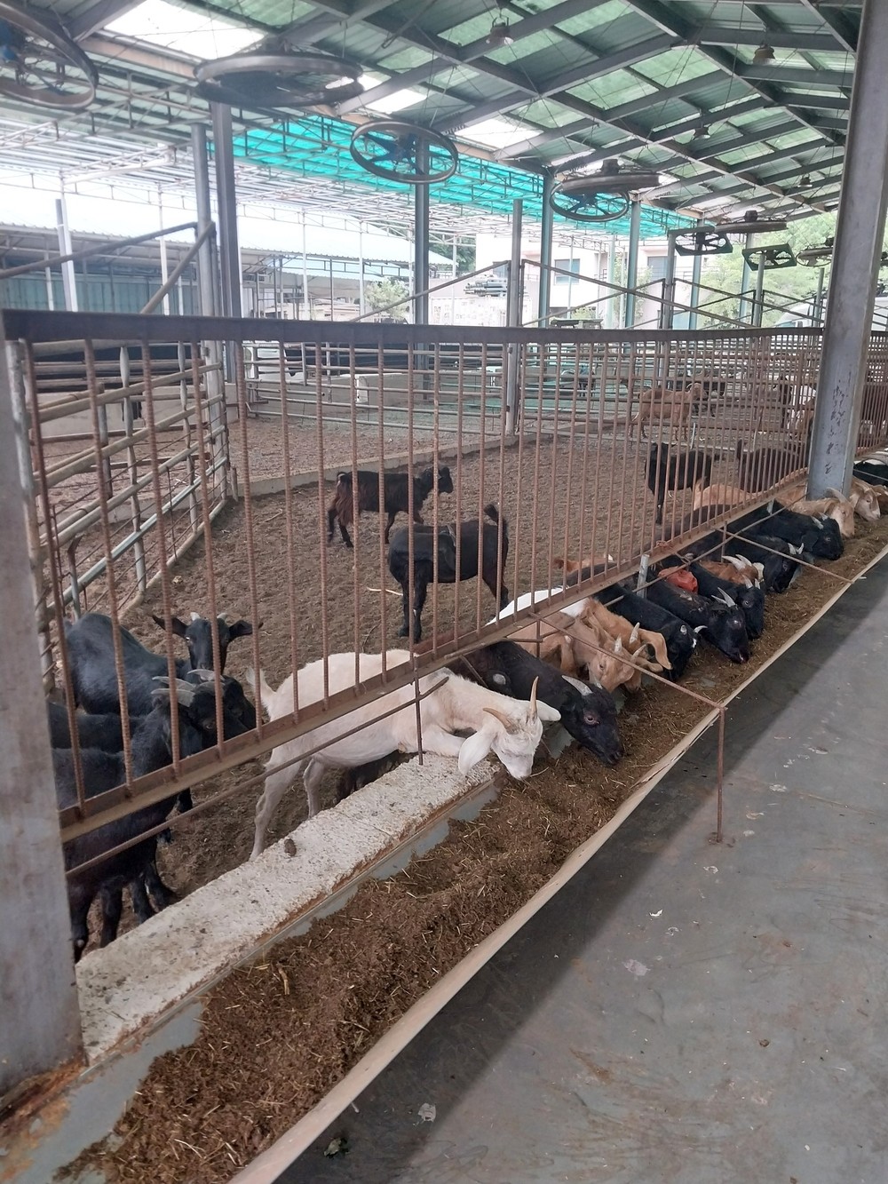 안산시 농수산물도매시장, 농산부산물 자원화로 농가 상생 실천