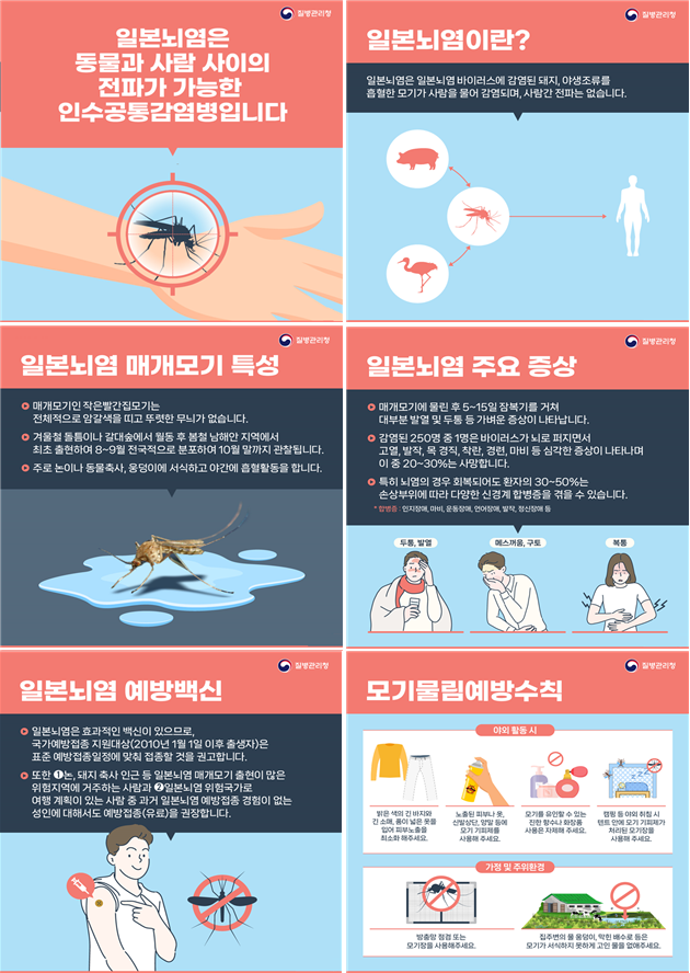 영광군, 일본뇌염 경보 발령에 따른 방역 활동 강화