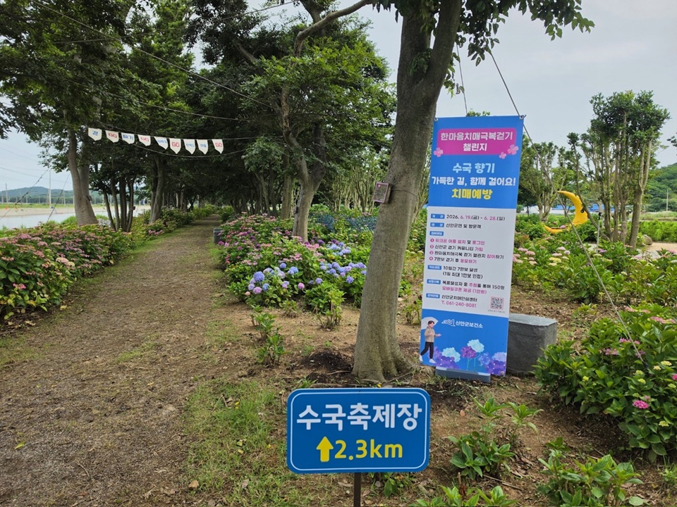 신안에서 수국 꽃길 걸으며, ‘한마음치매극복 걷기 챌린지’ 참여하세요
