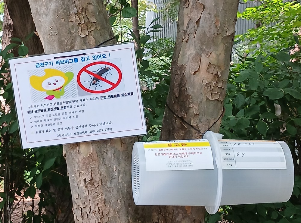 “러브버그 종합 대응체계 가동” 금천구 유인물집 포집기 265대 설치‧운영