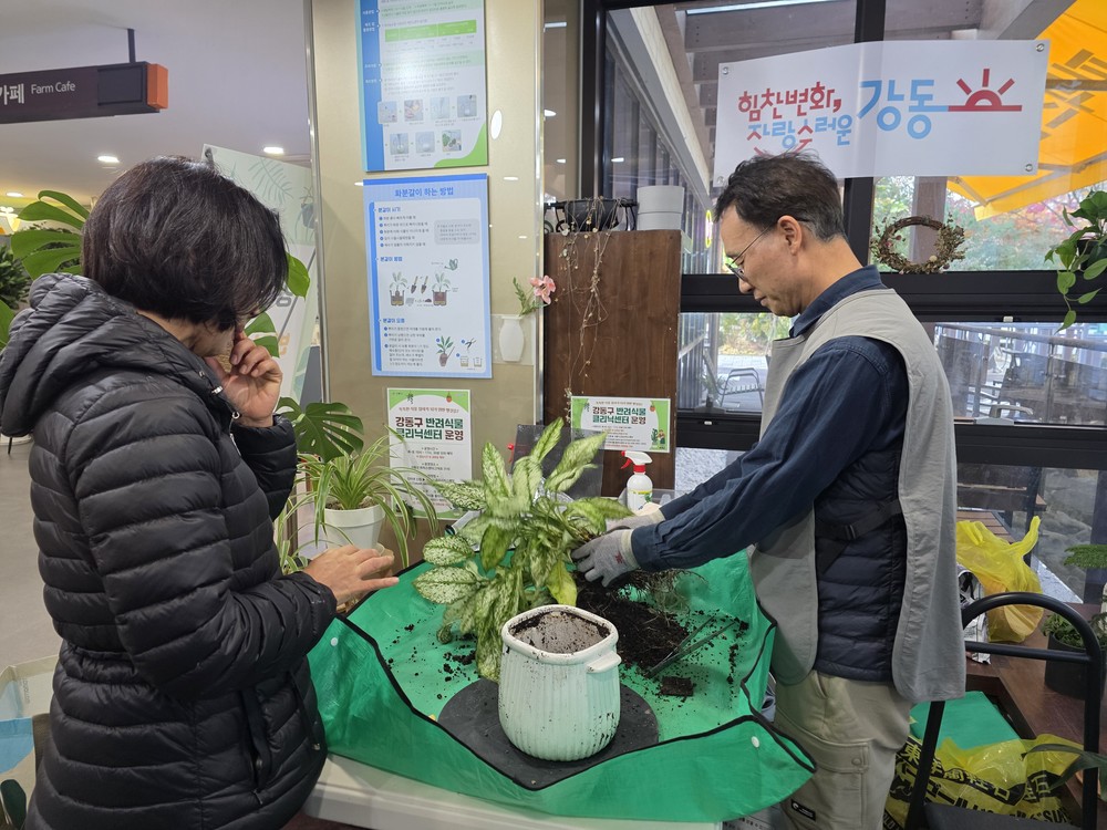 강동구, 반려식물 클리닉 운영…우리 집 식물 주치의를 만나보세요!