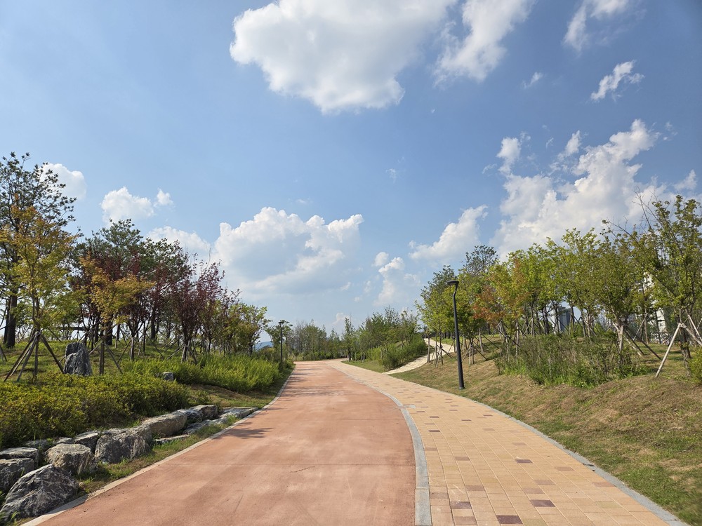 춘천 캠프페이지 도시숲 일부 개방…도심 녹색쉼터 조성