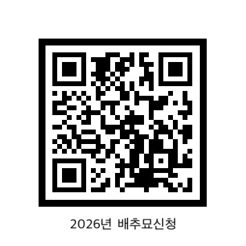 음성군농업기술센터, 가을 배추묘 신청·접수...오는 7월 3일까지