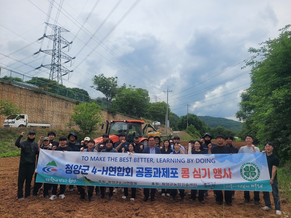 청양군 4-H연합회, 공동과제포 콩 심기 과제활동