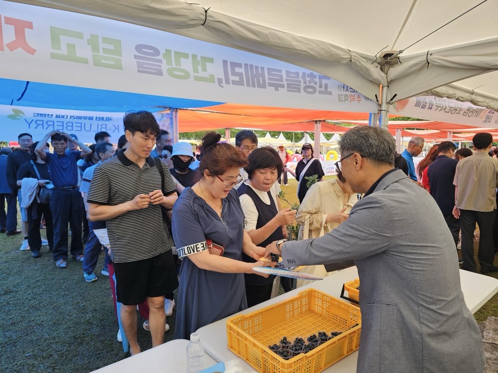 고창군 사회복지과, 복분자·블루베리 수확 일손돕기