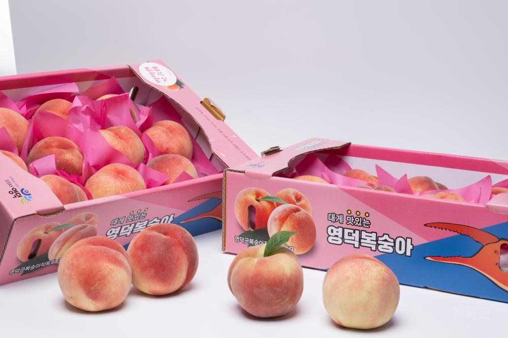 영덕군, 여름 제철 ‘복숭아 장터’ 참여 농가 모집